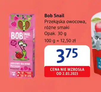 dm drogerie markt Bob Snail oferta