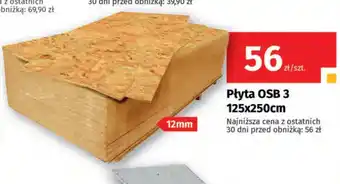 Bat Płyta OSB 3 oferta