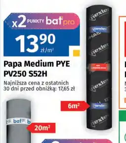 Bat Papa Medium PYE PV250 S52H oferta