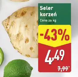 ALDI Seler korzeń oferta