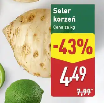 ALDI Seler korzeń oferta