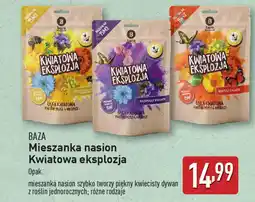 ALDI BAZA Mieszanka nasion Kwiatowa eksplozja oferta