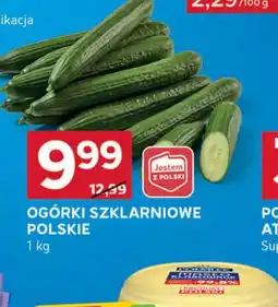 Stokrotka Optima Ogórki szklarniowe polskie oferta