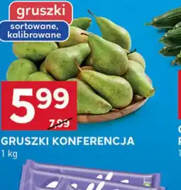 Stokrotka Optima Gruszki Konferencja oferta