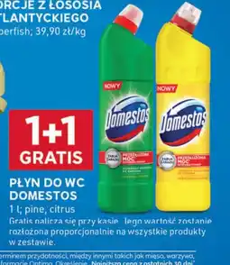 Stokrotka Optima Płyn do WC Domestos oferta