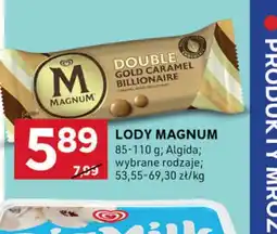 Stokrotka Optima Lody Magnum oferta