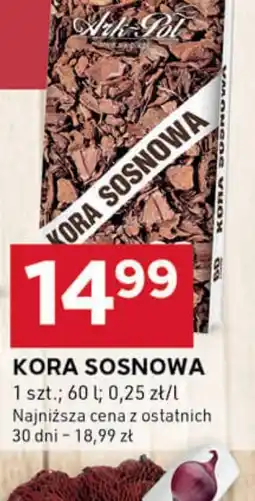 Kora sosnowa