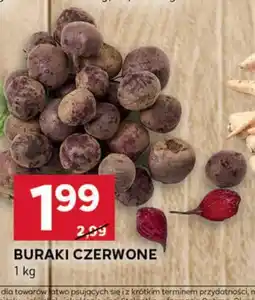 Stokrotka Optima Buraki czerwone oferta