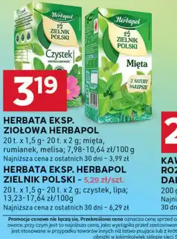 Stokrotka Optima Herbata eksp. ziołowa Herbapol oferta