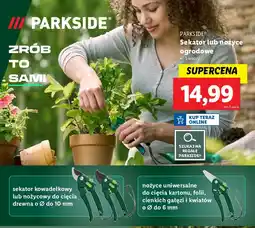 Lidl Sekator lub nożyce Parkside oferta