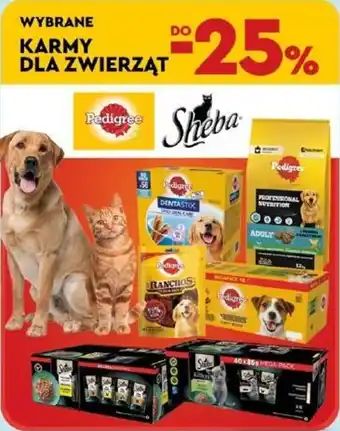 Biedronka Karmy dla zwierząt Pedigree, Sheba oferta