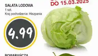 Słoneczko Sałata lodowa oferta