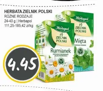 Słoneczko Herbata Zielnik Polski oferta