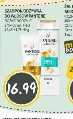 Słoneczko Szampon/Odżywka do włosów Pantene oferta