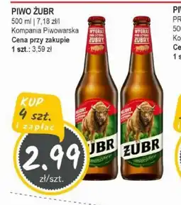 Słoneczko Piwo Zubr oferta