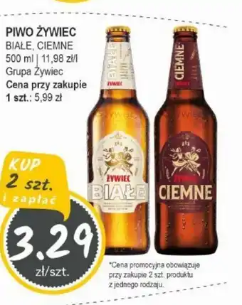 Słoneczko Piwo Zywiec oferta