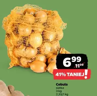 Netto Cebula oferta