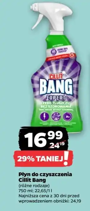 Netto Spray do usuwania tłuszczu Cillit Bang Usuwa Tłuszcz oferta