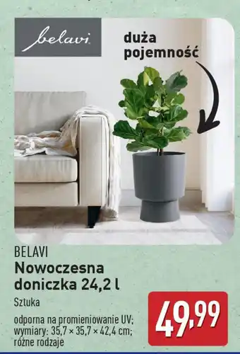 ALDI BELAVI Nowoczesna doniczka oferta