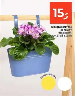 Dealz Wisząca skrzynka na rośliny oferta