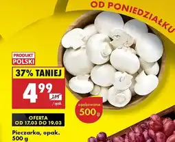 Biedronka Pieczarki oferta