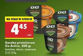 Biedronka Kaszka proteinowa cynamonowa Go Active oferta