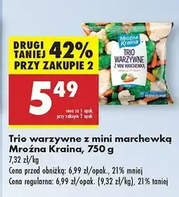 Biedronka Trio warzywne Mroźna Kraina oferta