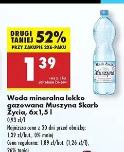 Biedronka Woda lekko gazowana Muszyna Skarb Życia oferta