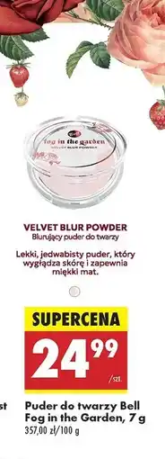 Biedronka Puder do twarzy Bell Fog In The Garden oferta