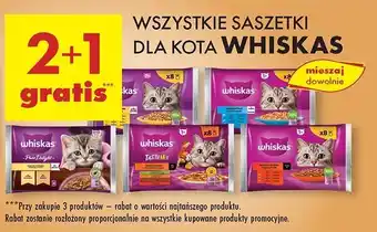 Biedronka Potrawka w galaretce z wołowiną Whiskas oferta