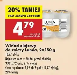 Biedronka Wkład olejowy do zniczy Lumia oferta