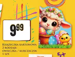 Dino Książeczka oferta