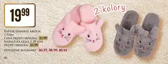 Dino Kapcie damskie królik oferta