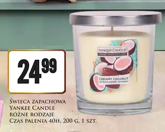 Dino Świeca zapachowa Yankee Candle oferta