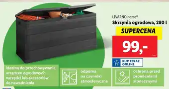 Lidl Skrzynia Livarno oferta