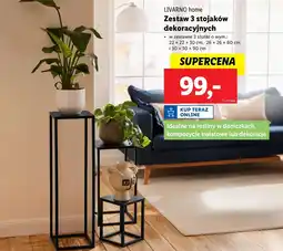 Lidl Stojak dekoracyjny Livarno oferta