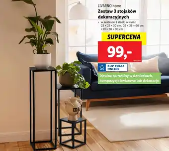 Lidl Stojak dekoracyjny Livarno oferta