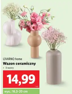 Lidl Wazon Livarno oferta