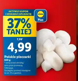 Lidl Pieczarki oferta