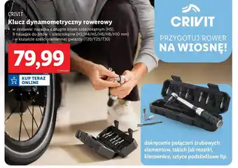 Lidl Klucz dynamometryczny Crivit oferta