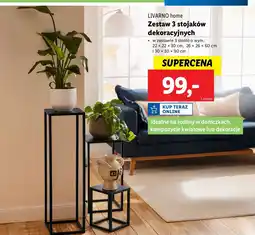 Lidl Zestaw stojaków dekoracyjnych Livarno Home oferta