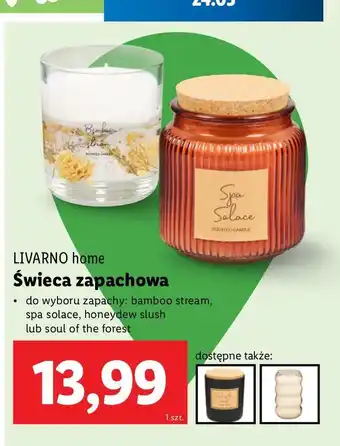 Lidl Świeca zapachowa soul of the forest Livarno Home oferta