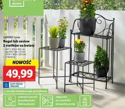 Lidl Regał na kwiaty 37.9 x 25 cm i 27.8 20.5 Livarno Home oferta