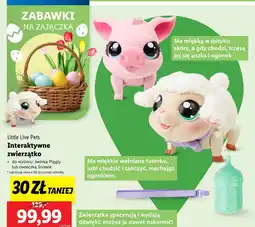 Lidl Owieczka Little Live Pets oferta