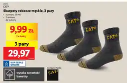 Lidl Skarpetki robocze 39-46 Cat oferta