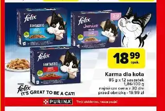 Carrefour Karma dla kota wybór smaków w galaretce Purina Felix Junior oferta