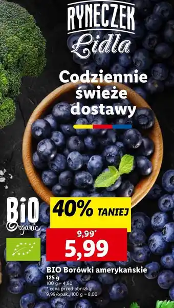 Lidl Borówki amerykańskie Bio Organic oferta