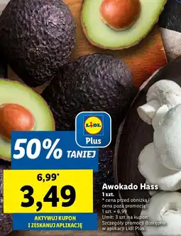 Lidl Awokado Hass oferta