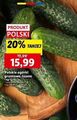 Lidl Ogórek gruntowy polska oferta