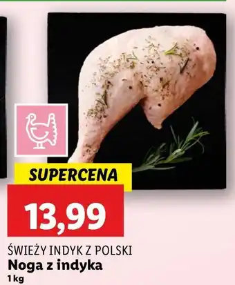 Lidl Noga z indyka Świeży Indyk Z Polski oferta
